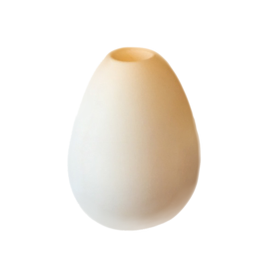 Aroma Egg 陶器製アロマディフューザー